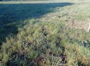 Development site Saint Mariens