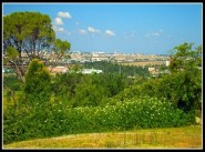 Shop Saint Emilion